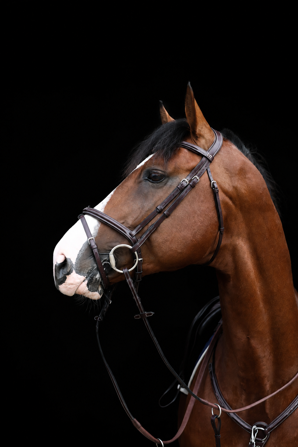 HFI Pro Line Bridle Monza