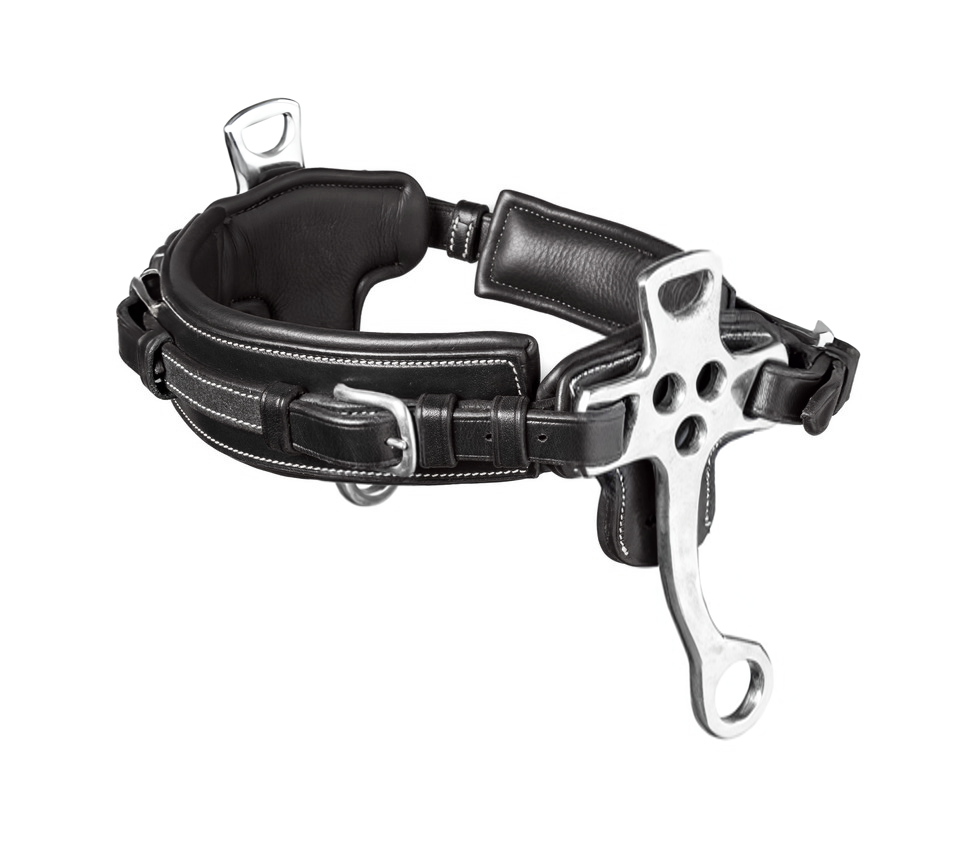 TRUST Hackamore silver buckles Black