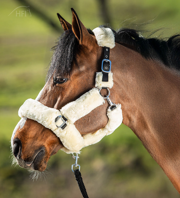 HFI Halster Cosy Beige full