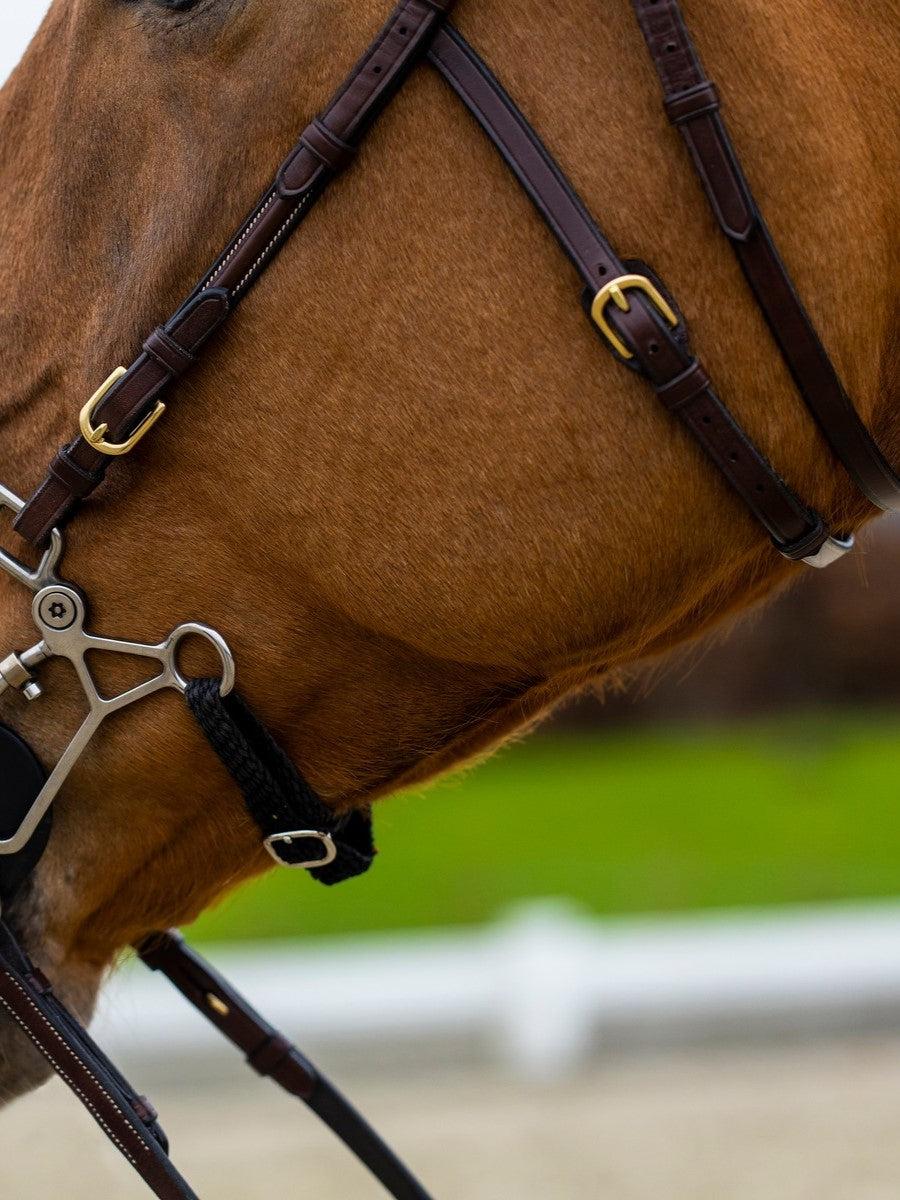 TRUST bridle Hickstead Hackamore bridle gold buckles Brown