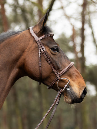 TRUST bridle Hunter Kentucky  silver buckle Brown