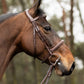 TRUST bridle Hunter Kentucky  silver buckle Brown