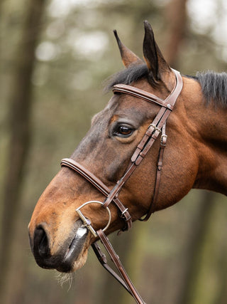 TRUST bridle Hunter Kentucky  silver buckle Brown