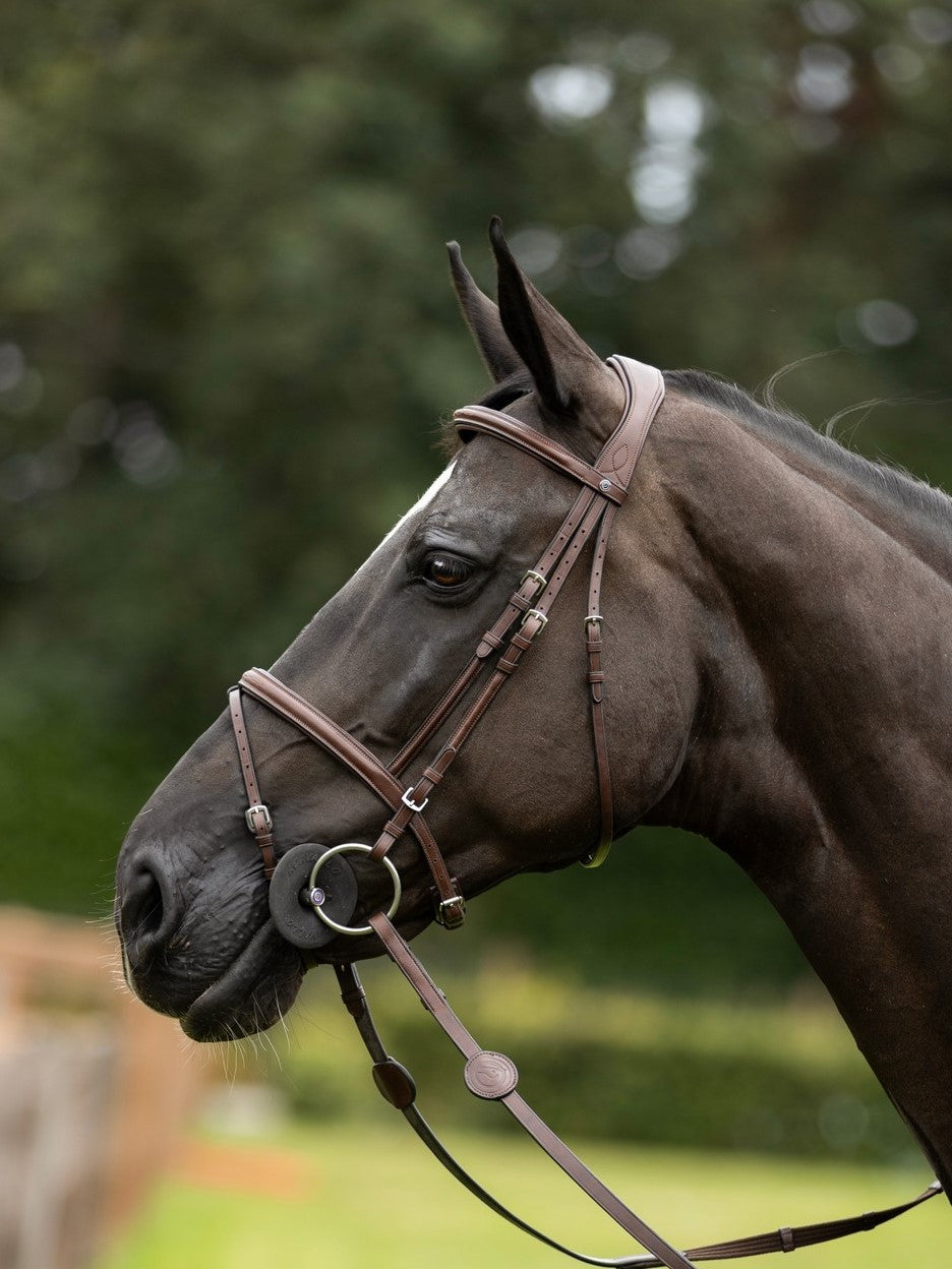 TRUST bridle Knokke combined noseband silver buckle Brown