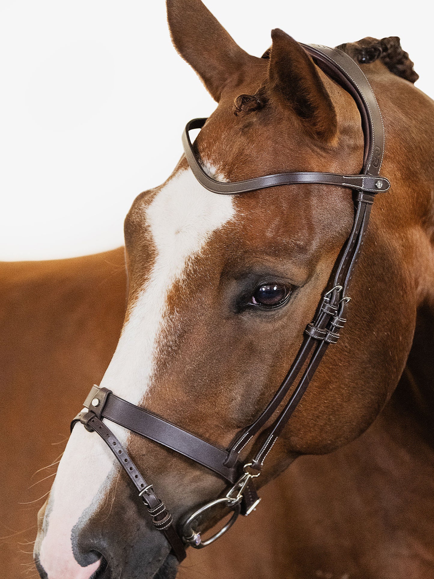 PS of Sweden Bridle flash noseband London Brown