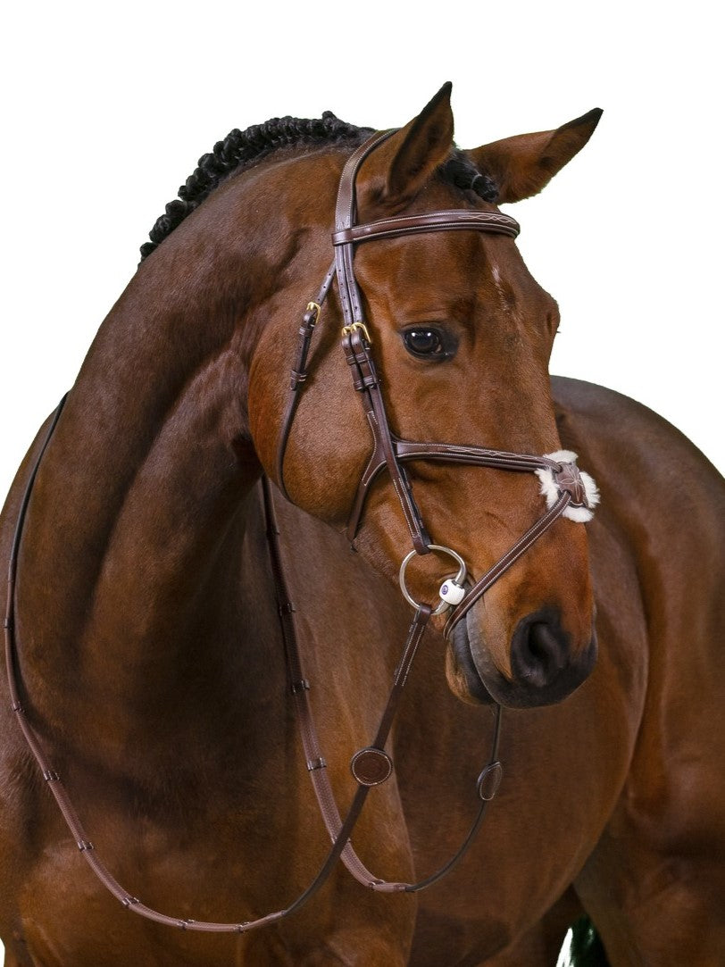 TRUST bridle Oslo figure 8 noseband gold buckles Brown