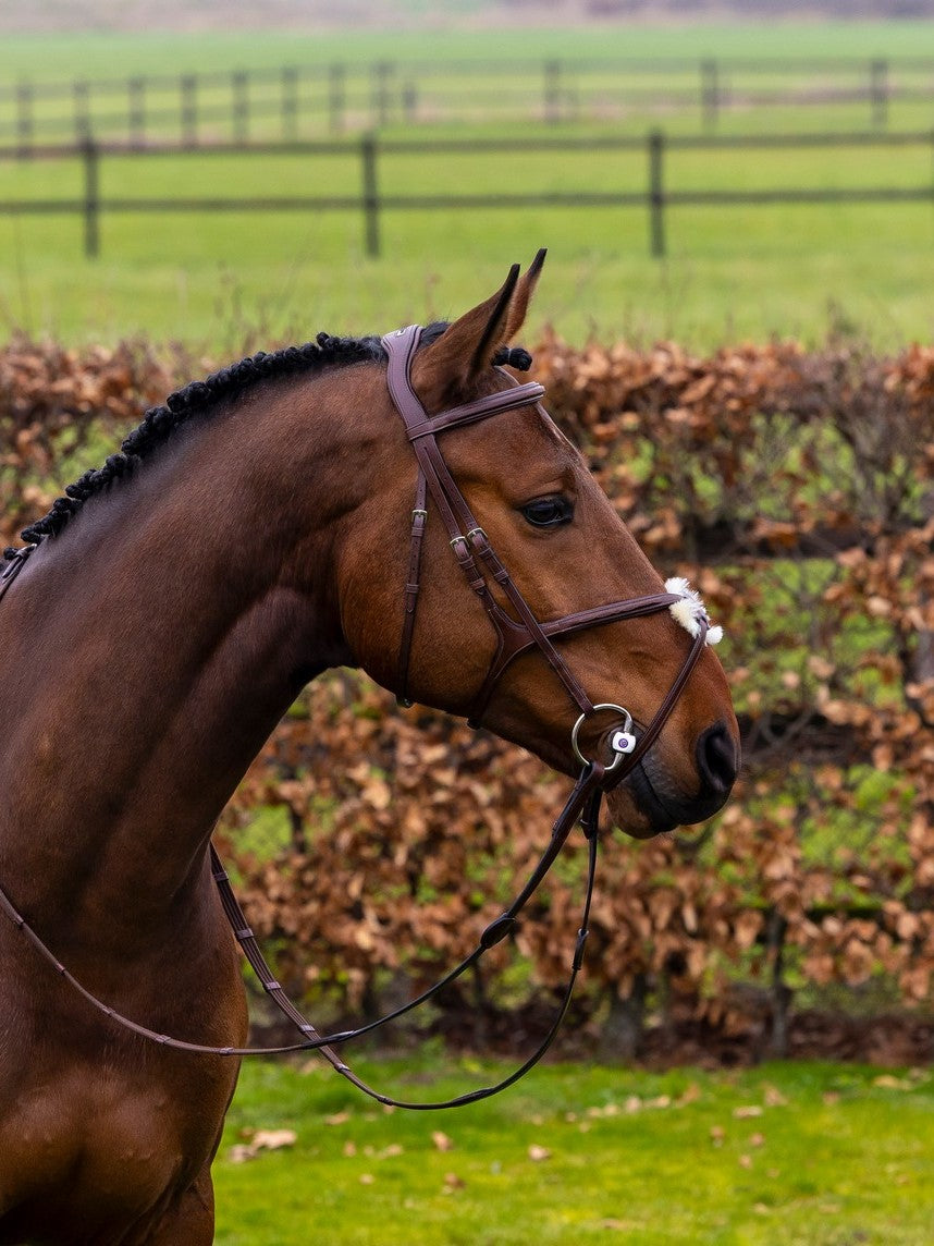 TRUST bridle Oslo Figure 8 noseband bridle silver buckles Brown