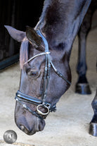 LJ Leathers Hoofdstel Pro Selected aansnoerneusriem met lak Sunline Zwart