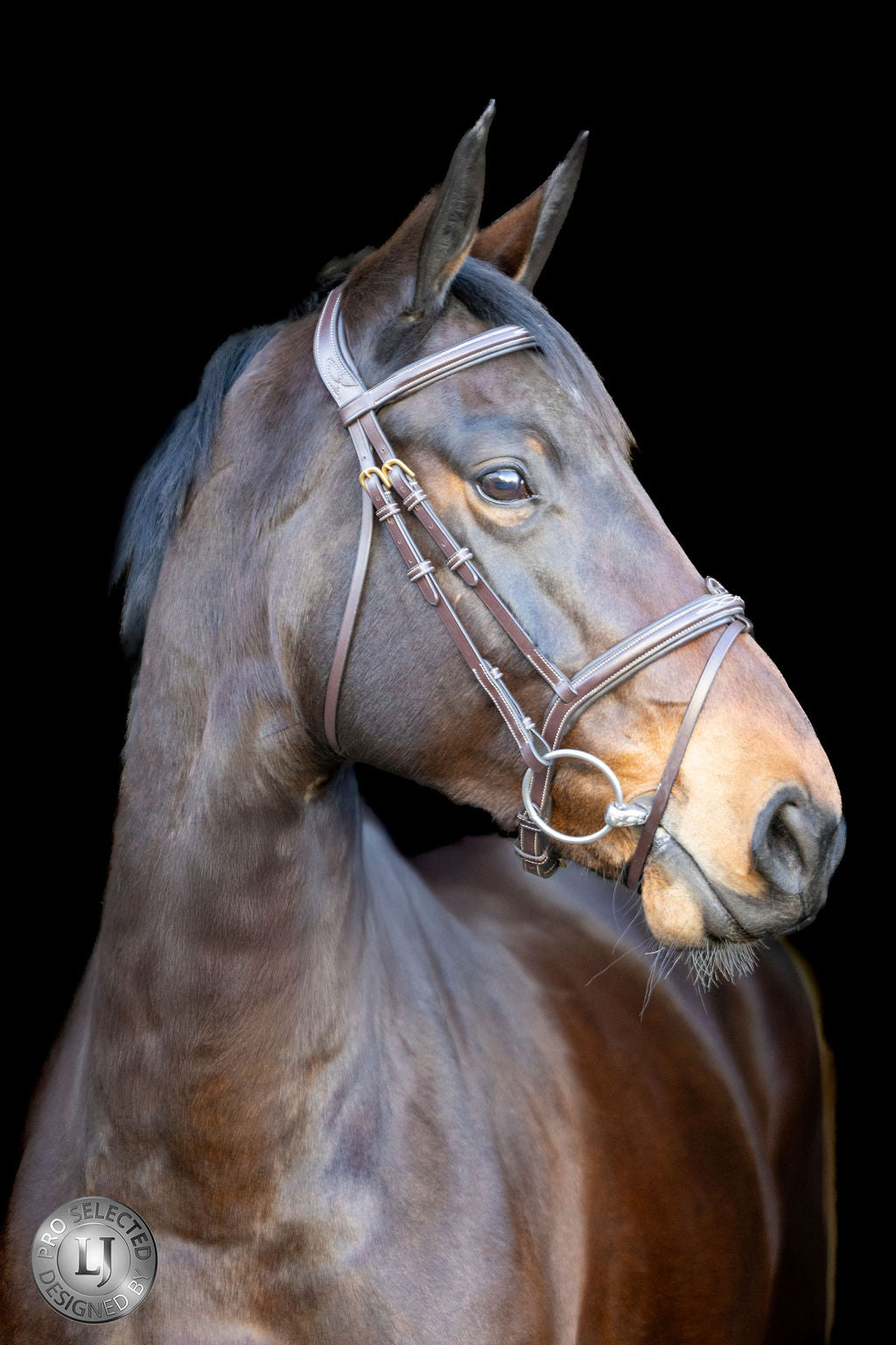 LJ Leathers Pro Selected hoofdstel gecombineerde neusriem Heritage Bruin