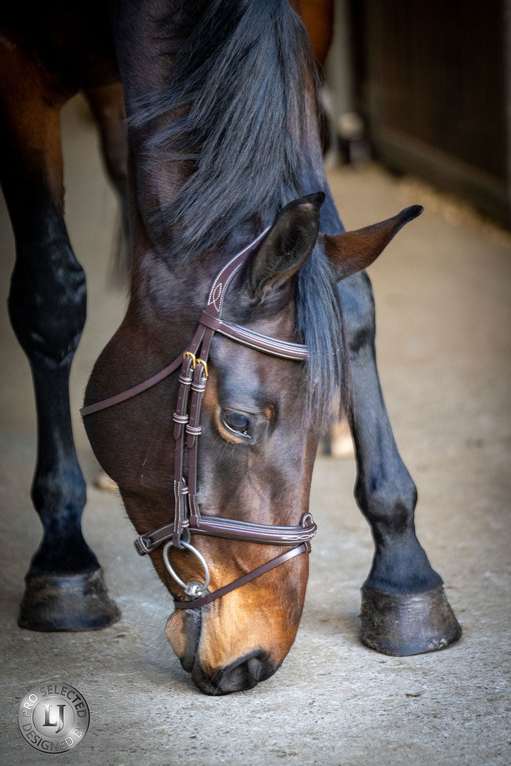 LJ Leathers Pro Selected bridle flash noseband Heritage Brown