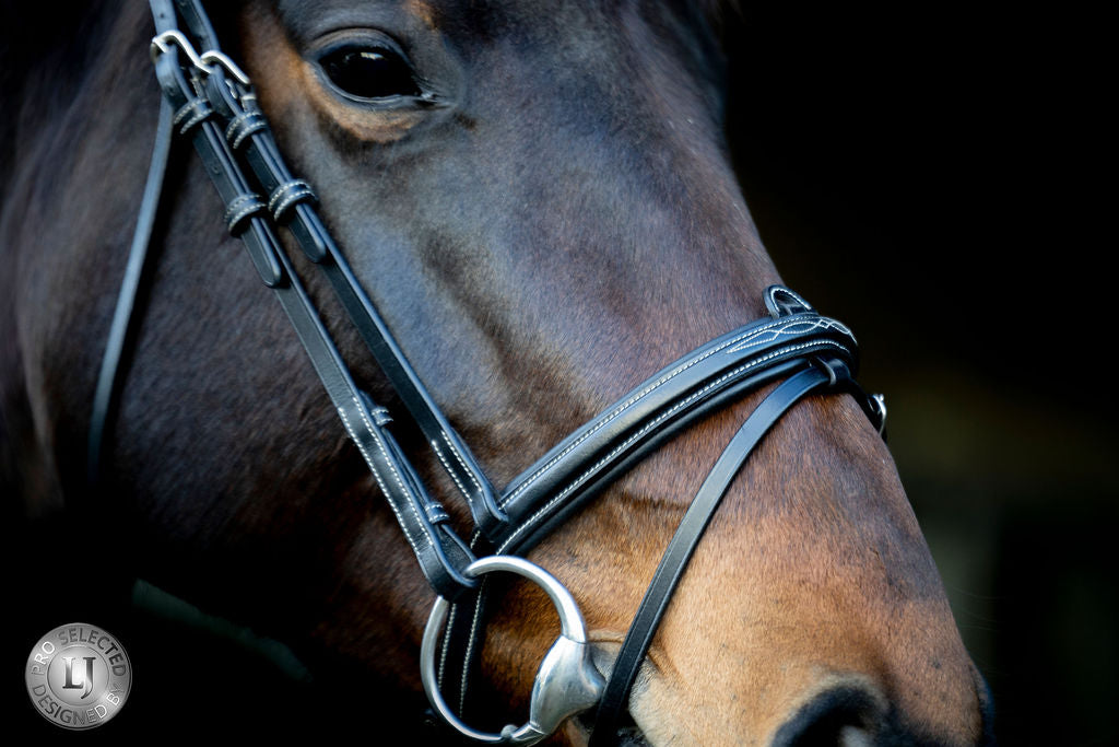 LJ Leathers Pro Selected bridle flash noseband Heritage Black