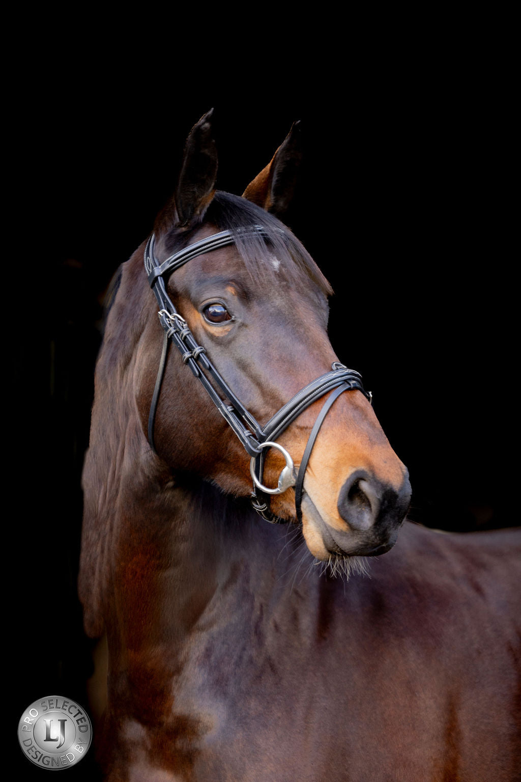 LJ Leathers Pro Selected bridle flash noseband Heritage Black