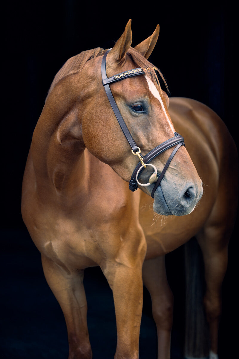 LJ Leathers Pro Selected bridle with clips Brown