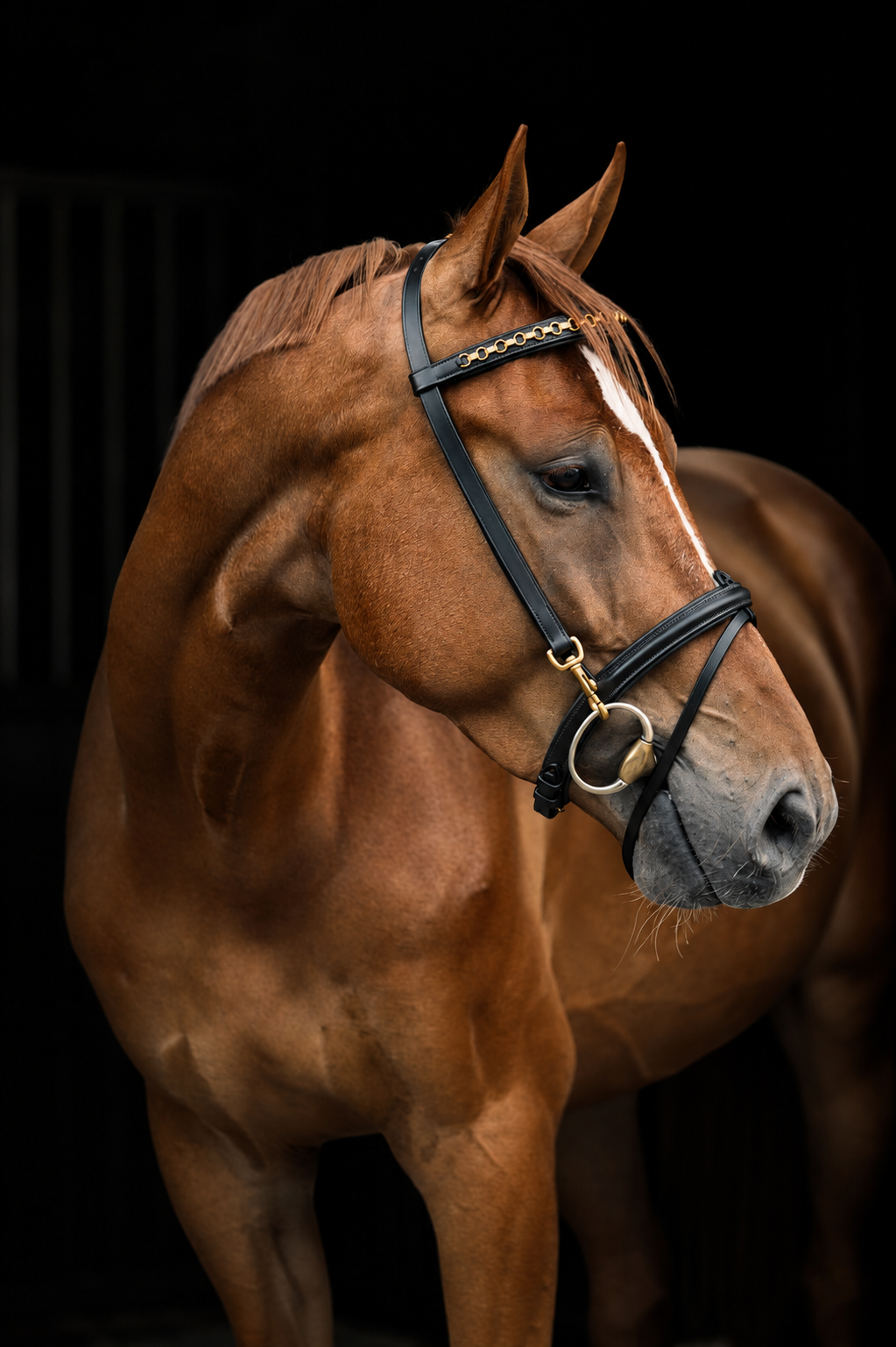LJ Leathers Pro Selected bridle with clips Black