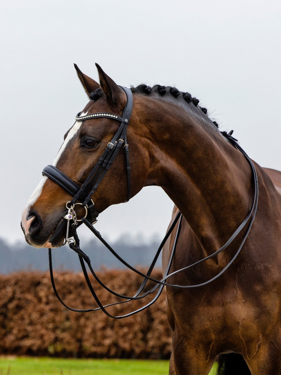 TRUST Wellington Double Bridle black padded Black