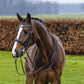 TRUST Wellington Double Bridle black padded Black