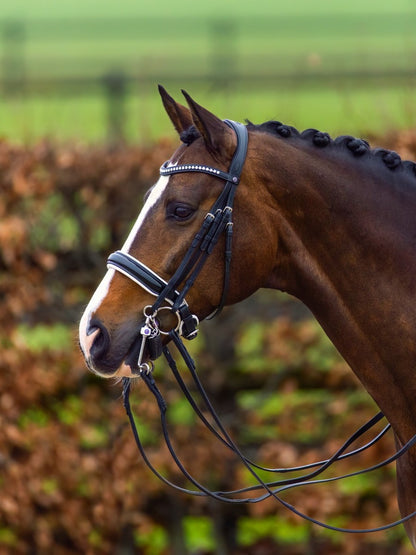 TRUST Aachen Double Bridle Patent noseband white padded Black