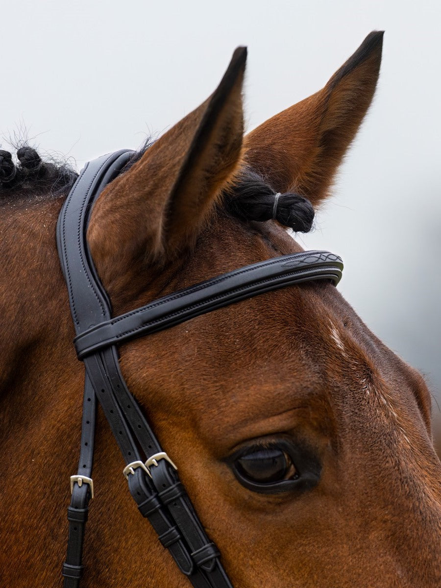 TRUST bridle Amsterdam anatomical combined noseband silver buckle Black