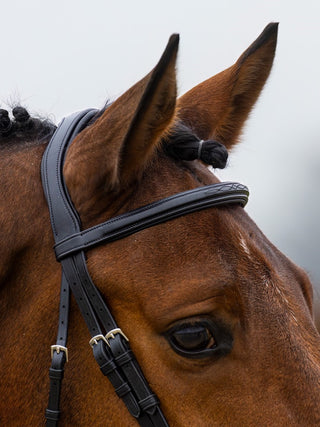 TRUST bridle Amsterdam anatomical combined noseband silver buckle Black