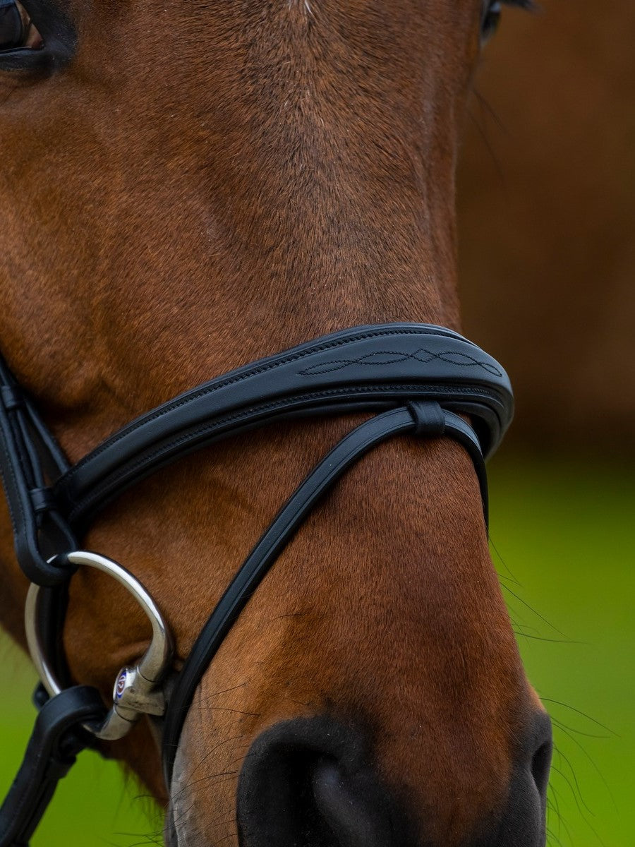 TRUST bridle Amsterdam anatomical combined noseband silver buckle Black