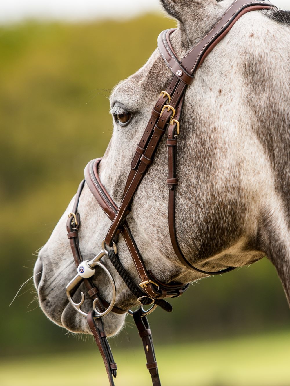 TRUST bridle Amsterdam anatomical combined noseband gold buckle Brown