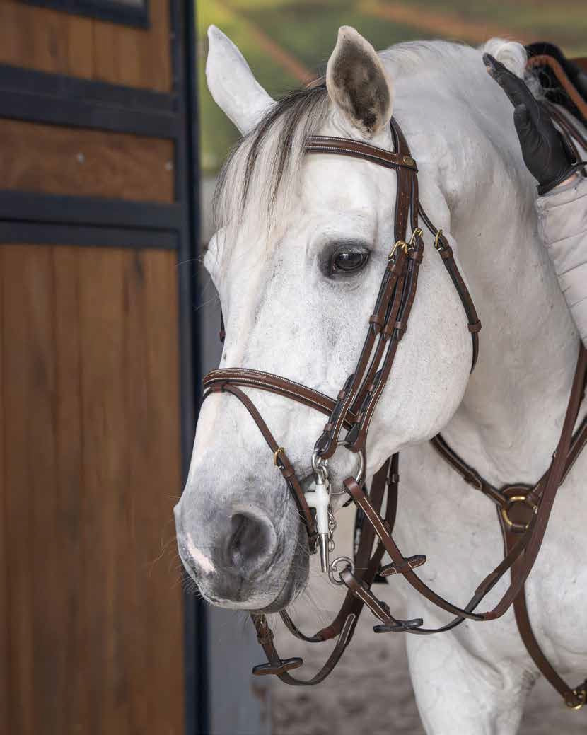 HFI Double Bridle Jumping
