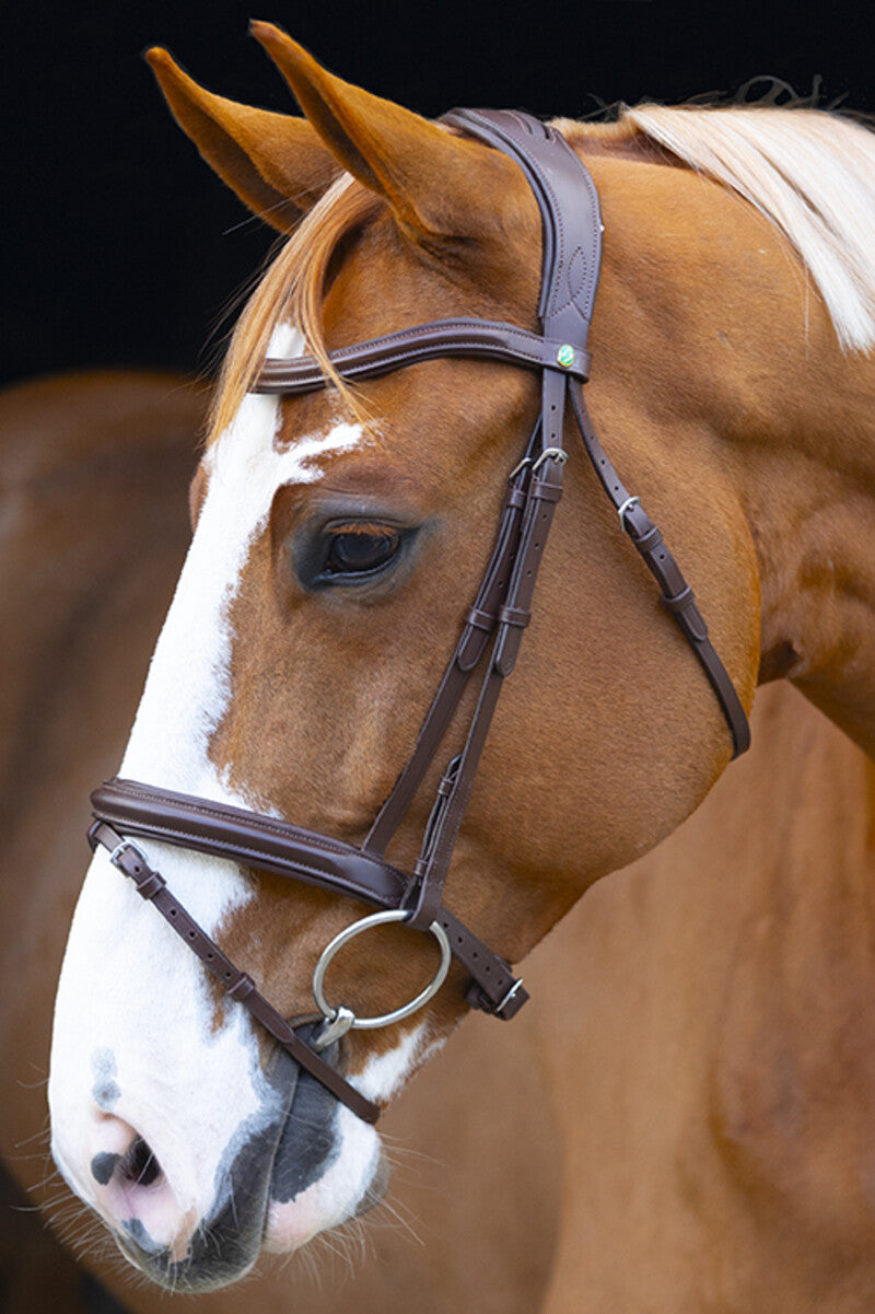 LJ Leathers bridle flash noseband Classic Touch Brown