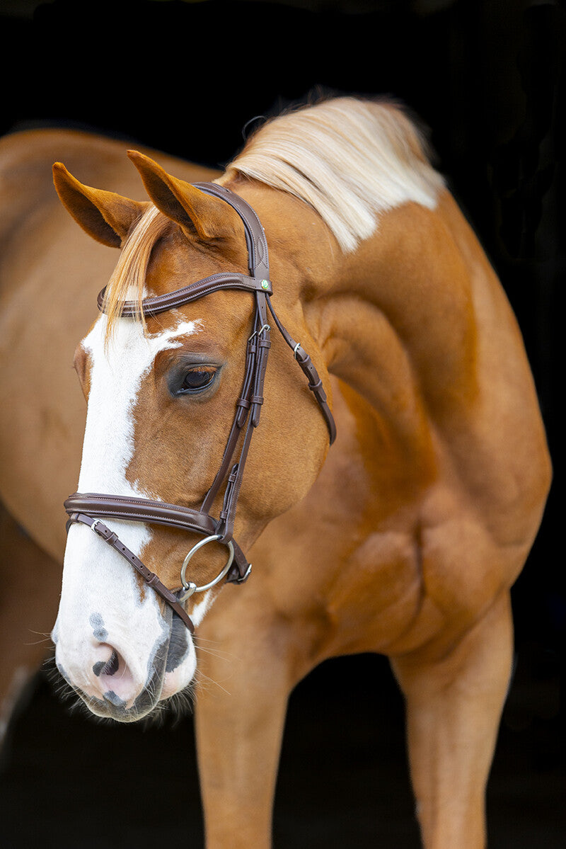 LJ Leathers bridle flash noseband Classic Touch Brown