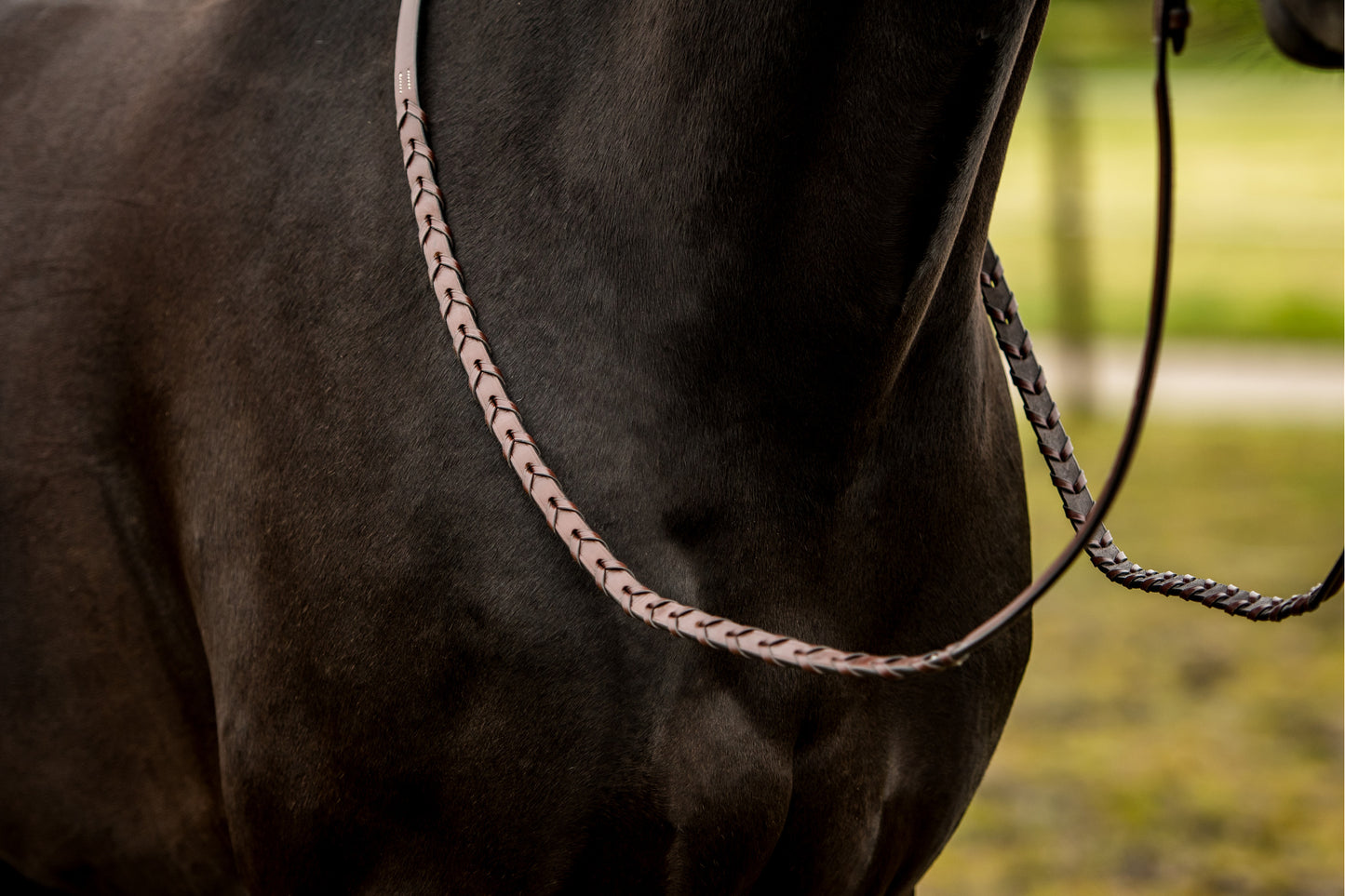 TRUST  Hunter reins Braided silver buckles Brown