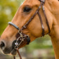 TRUST bridle Hickstead Hackamore bridle silver buckles Brown