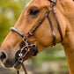 TRUST bridle Hickstead Hackamore bridle silver buckles Brown