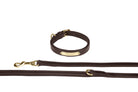 Eskadron E-Dog lederen halsband en hondenriem Bruin