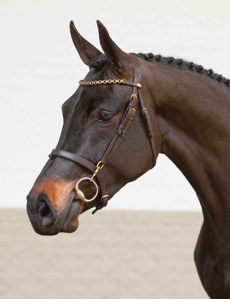 Equilook Hoofdstel Professional gecombineerde neusriem - equi-exclusive