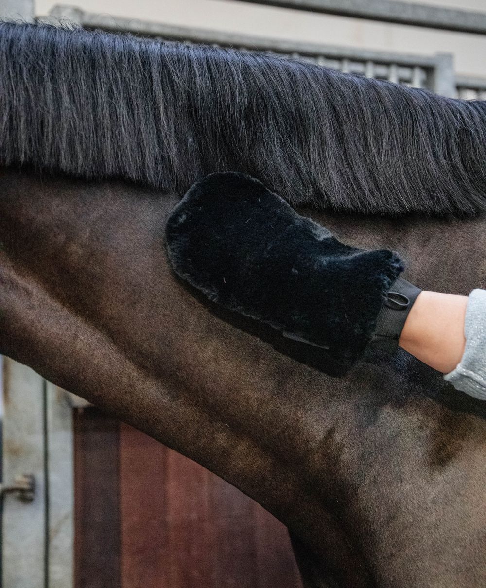 Grooming Deluxe Sheepskin grooming glove