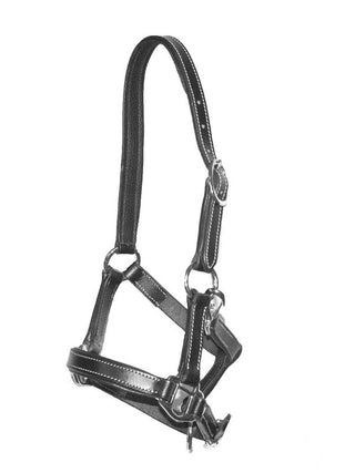 LJ Leathers leather foal halter Black < 6 mnd