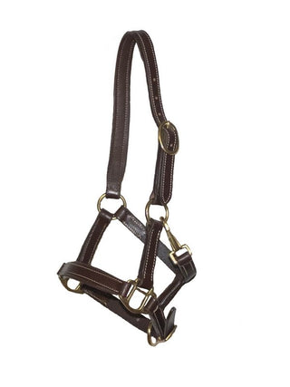 LJ Leathers leather foal halter Braun < 6 mnd