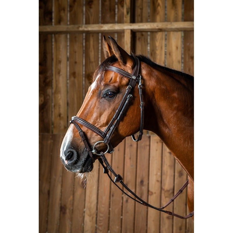 Dyon Working Collection flash noseband bridle Brown