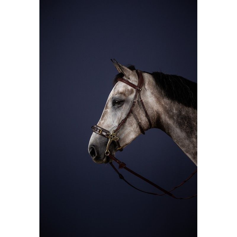 Dyon New English Collection Hackamore hoofdstel - equi-exclusive