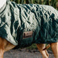 Kentucky Dogwear dog coat dark green