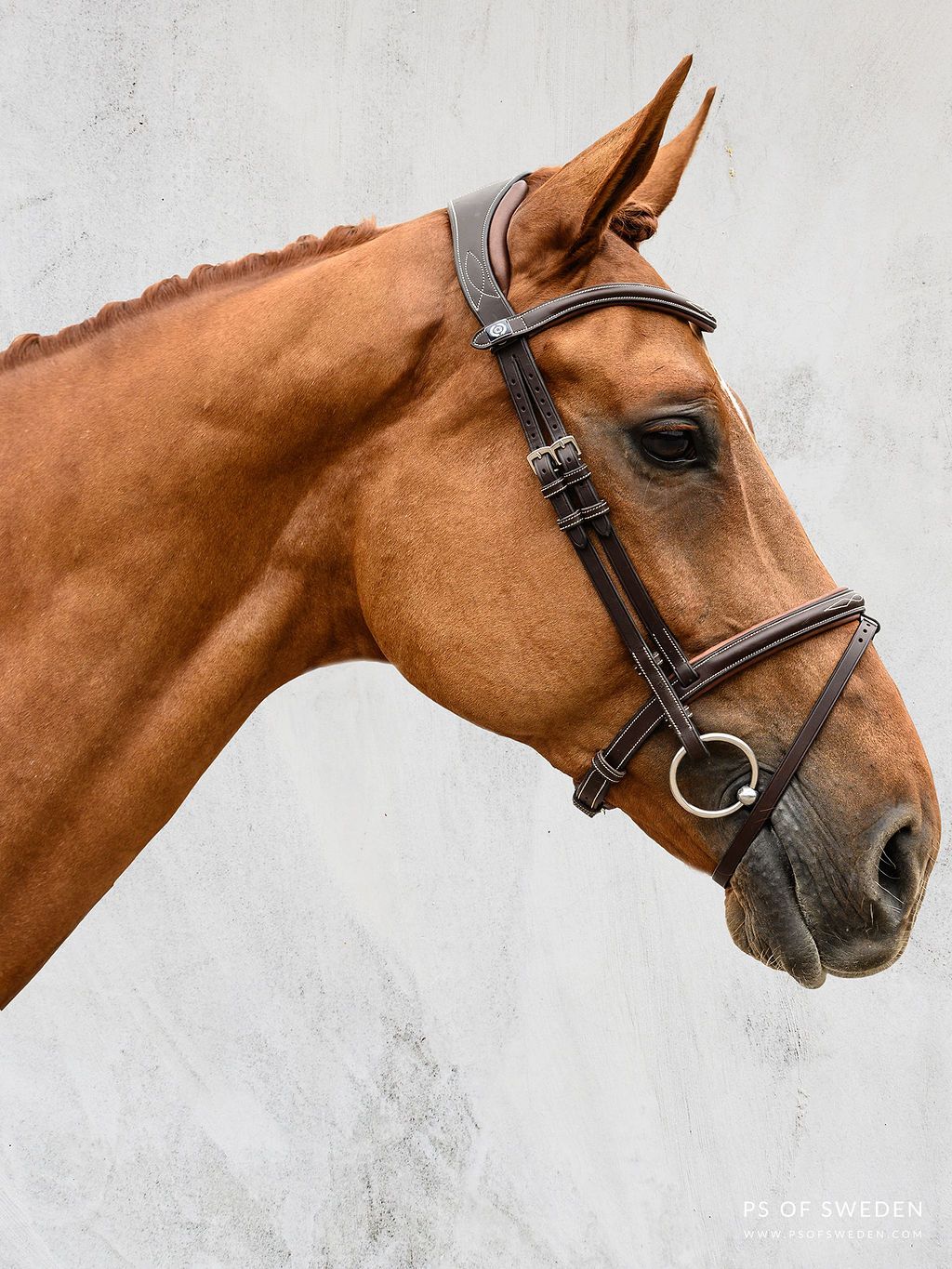 PS of Sweden Pro Jump Bridle flash noseband Stockholm