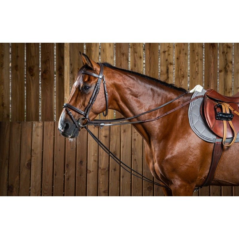 Dyon Working Collection draw reins leather brown