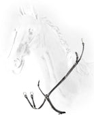 Equiline Borsttuig met brug zwart Zwart