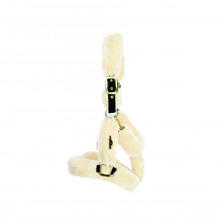 Kentucky Horsewear transporthalster wol