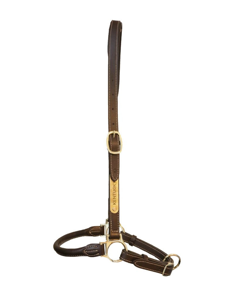 Kentucky Horsewear Lederen Grooming Halster - equi-exclusive