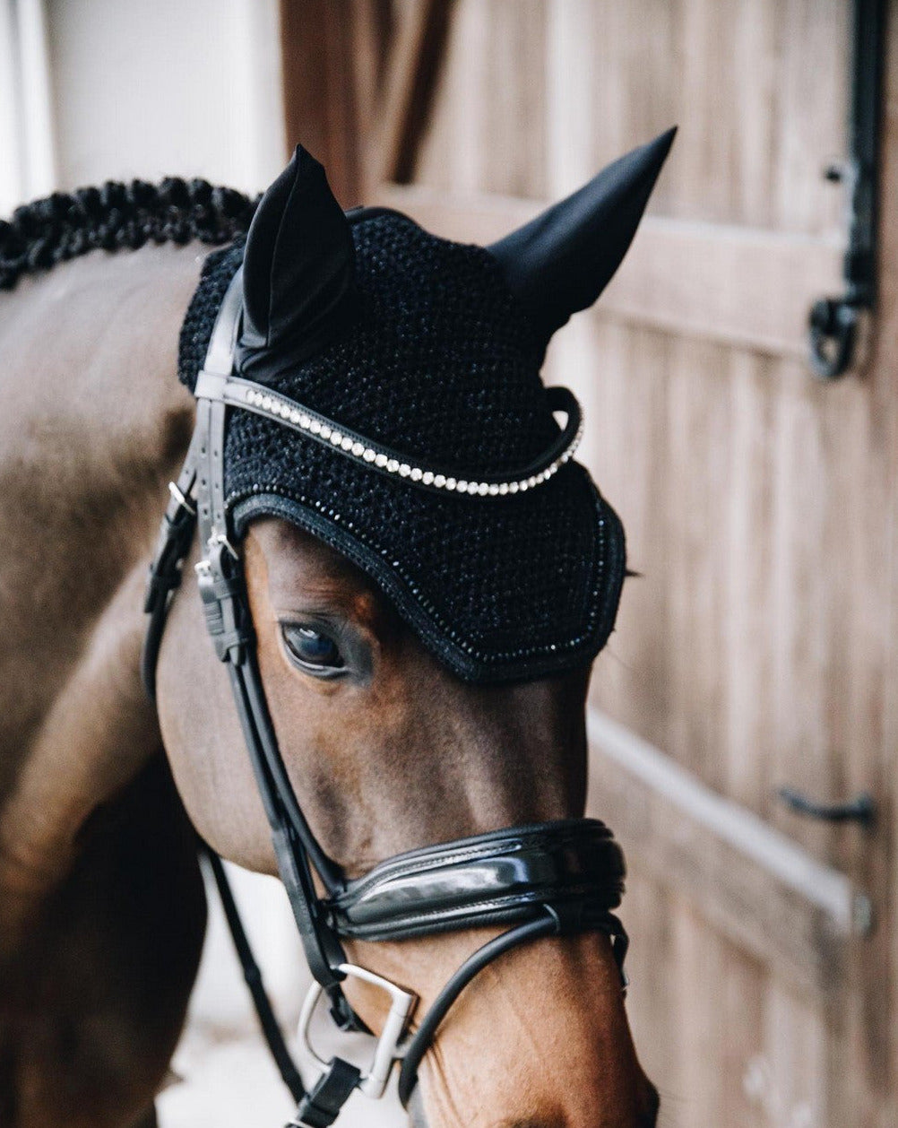 Kentucky Horsewear Fly Veil Wellington Glitter Band Black – Horse ...