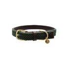 Kentucky Dogwar Gevlochten Nylon Hondenhalsband Groen
