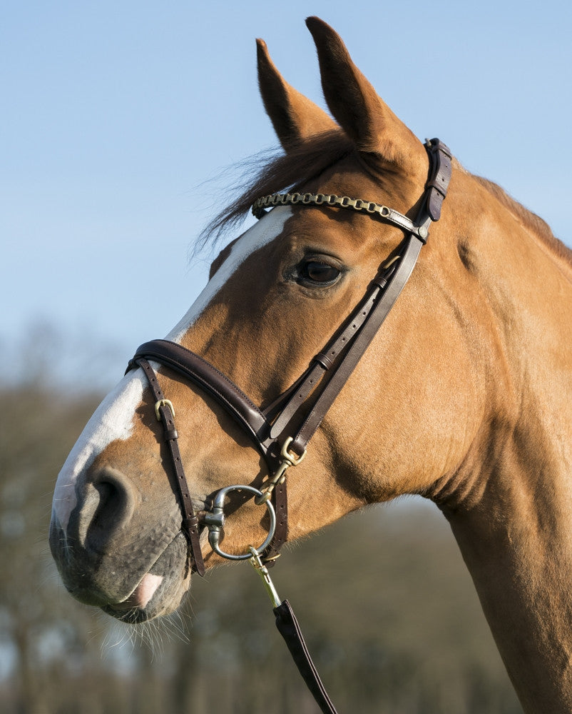 LJ Leathers Pro Selected Trainingshoofdstel clips - equi-exclusive