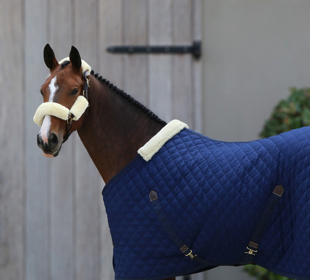 Kentucky Horsewear staldeken 400g navy - equi-exclusive