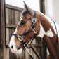 Kentucky Horsewear Nylon Gevlochten Halster - equi-exclusive