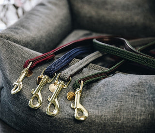 Kentucky Plaited Nylon Dog Lead